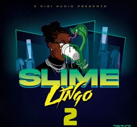 3Digi Audio Slime Lingo 2 WAV